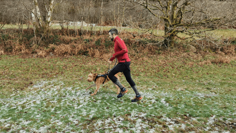 A runner and his dog practicing canicross