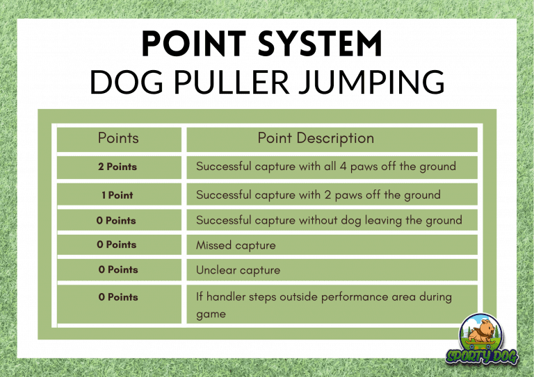 Table showing point system for dog puller jumping