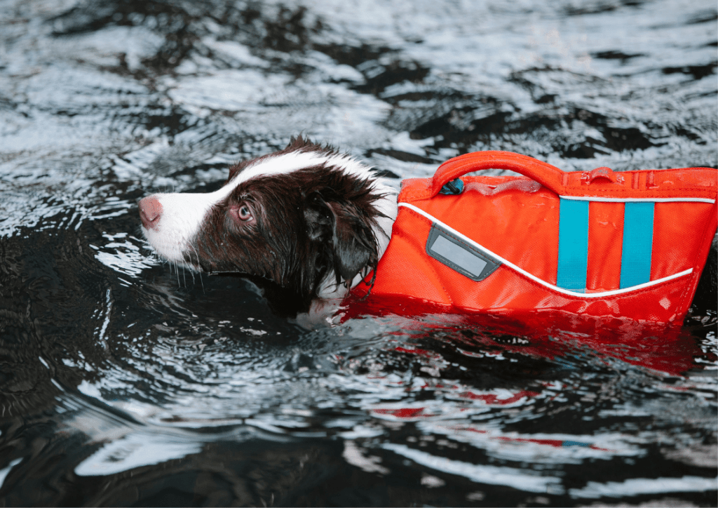 Kobuk 5mm Neoprene Floatation Hunting Dog Vest Jacket Shadow Grass Size XL 