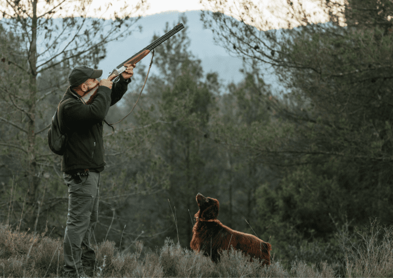 A hunting dog looking up at a hunter who has his rifle pointing to the sky